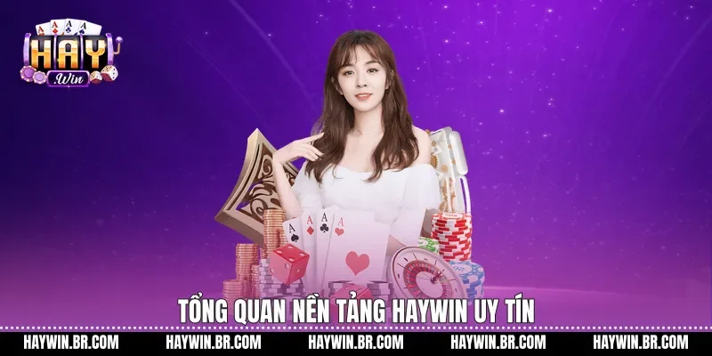 Tổng quan nền tảng Haywin uy tín